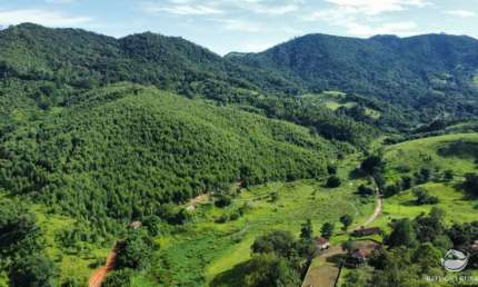 FAZENDA EM PIRACAIA COM VÁRIAS NASCENTES E MUITO EUCALIPTO