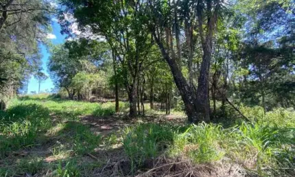 SÍTIO COM NASCENTE EM MEIO A UMA LINDA PAISAGEM EM IGARATÁ