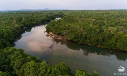 Fazenda à venda no Setor Central, Natividade 