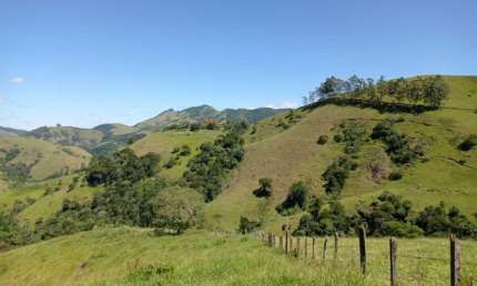 SÍTIO COM POMAR E LINDA VISTA EM SÃO FRANCISCO XAVIER