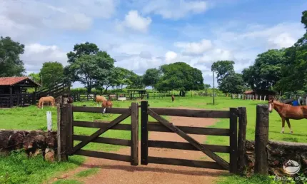FAZENDA DE 163 ALQUEIRES PROPÍCIA PARA CRIAÇÃO DE GADO COM CASA SEDE E REPRESAS COM NASCENTE