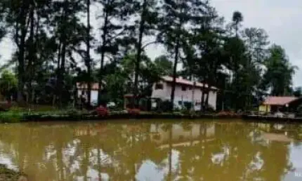 Lindo sítio em são francisco xavier com restaurante, loja de artesanatos e cachoeiras