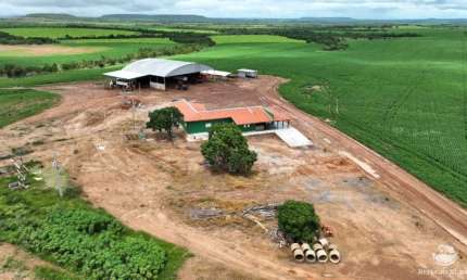 Fazenda à venda no Centro, Paranatinga 
