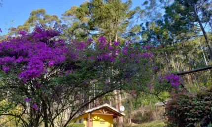 Refúgio na Serra da Mantiqueira a 1300m de altitude