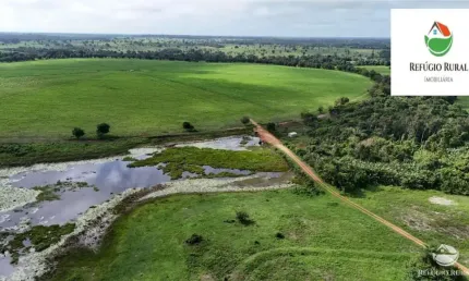 ÓTIMA FAZENDA PARA AGRICULTURA EM RIBAMAR FIQUENE/MA