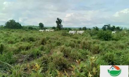 Fazenda à venda no Setor Central, Juarina 