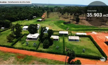 INCRÍVEL FAZENDA COM ÓTIMA INFRAESTRUTURA EM MUTUM/MT