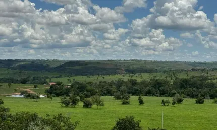 Fazenda à venda no Centro, Tesouro 