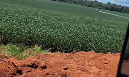 FAZENDA INCRÍVEL PRÓXIMO A TABAPORÃ/MT - OPORTUNIDADE ÚNICA!