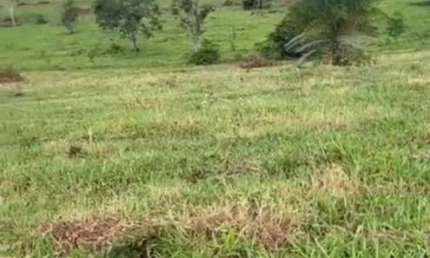 Fazenda à venda no Centro, Costa Rica 