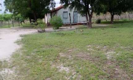 FAZENDA DE 2.350 HECTARES EM MARPORÁ/BA - TERRA DE OPORTUNIDADE!