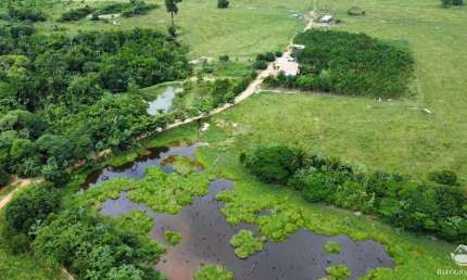 Fazenda à venda no Centro, Novo Progresso 
