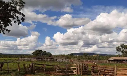 Fazenda à venda no Centro, Planalto da Serra 