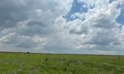 Fazenda à venda no São Lourenço de Fátima, Juscimeira 