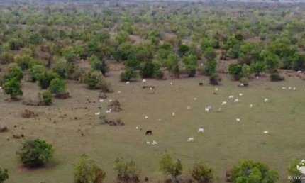Fazenda à venda no Conjunto Guatos, Corumbá 