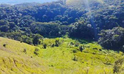 SÍTIO COM NASCENTES, PLATÔS NATURAIS E LINDA VISTA EM SÃO JOSÉ DOS CAMPOS/SP