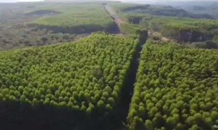 FAZENDA IMPERDÍVEL -  14.456 HECTARES COM NASCENTES E CÓRREGOS