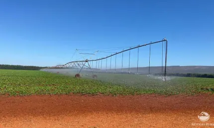 FAZENDA IMPERDÍVEL COM ÓTIMA ESTRUTURA EM CORINTO/MG