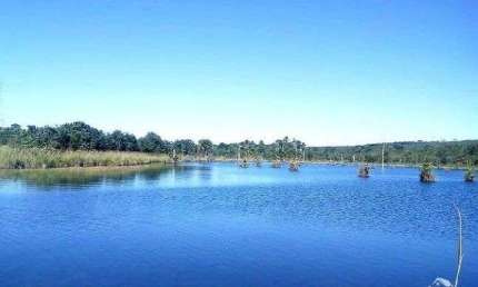 FAZENDA IMPERDÍVEL COM ÓTIMA LOGÍSTICA E LOCALIZAÇÃO EM ALTO TAQUARI/MT