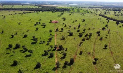 FAZENDA INCRÍVEL COM EXCELENTE ESTRUTURA E LOCALIZAÇÃO EM INOCÊNCIA/MS