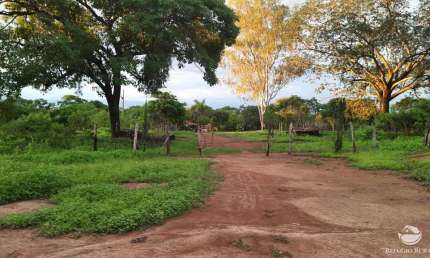 Fazenda à venda no Centro, Buritizeiro 