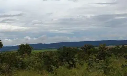 Fazenda à venda no Centro, Nova Brasilândia 
