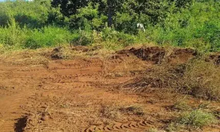Fazenda à venda no Centro, Barro Alto 