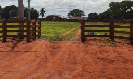 FAZENDA EXCELENTE COM ÓTIMA LOCALIZAÇÃO EM CASSILÂNDIA/MS