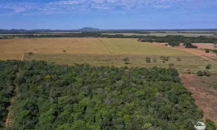 Fazenda à venda no Setor Central, Alvorada 
