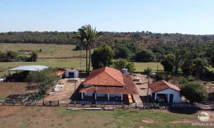 FAZENDA IMPERDÍVEL COM ÓTIMA ESTRUTURA EM APARECIDA DO TABOADO/MS
