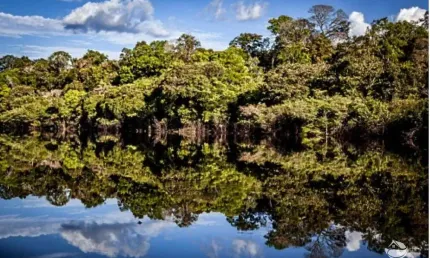 Fazenda à venda no Centro, Manicoré 