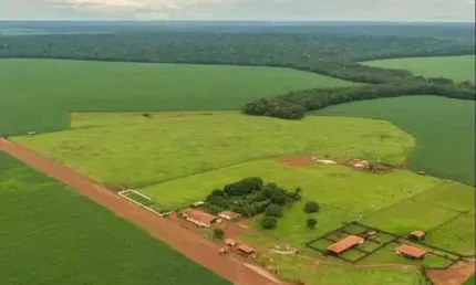 Fazenda à venda no Centro, Tabaporã 