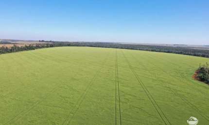 Fazenda à venda no Centro, Sete Quedas 