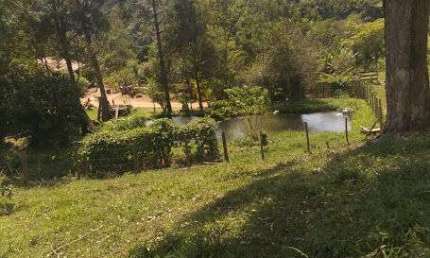 FAZENDA COM ÓTIMA LOCALIZAÇÃO EM MONTEIRO LOBATO/SP