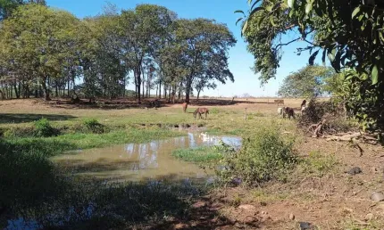 Fazenda à venda no Centro, Miguelópolis 