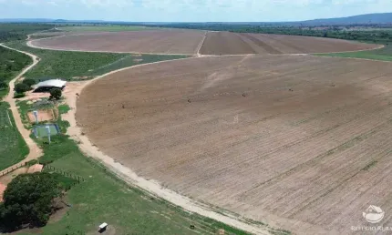 Fazenda à venda no Centro, João Pinheiro 