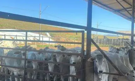 Fazenda à venda na Área Rural de São José dos Campos, São José dos Campos 