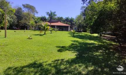 Fazenda à venda no Centro, Figueirão 