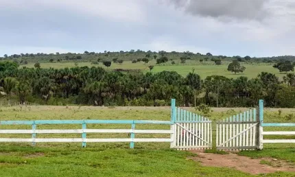 Fazenda à venda no Centro, Minaçu 