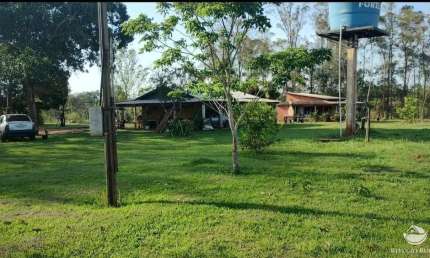 Fazenda à venda no Centro, Naviraí 