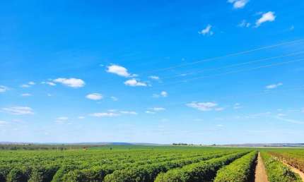 Fazenda à venda no Major Porto, Patos de Minas 