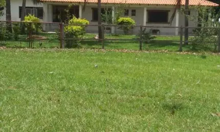 Fazenda à venda no Centro, Pedro Gomes 
