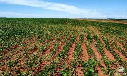 Fazenda à venda no Centro, Paranatinga 