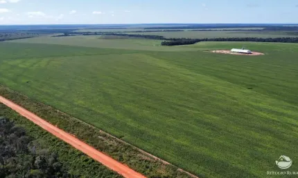 Fazenda à venda no Centro, Marcelândia 