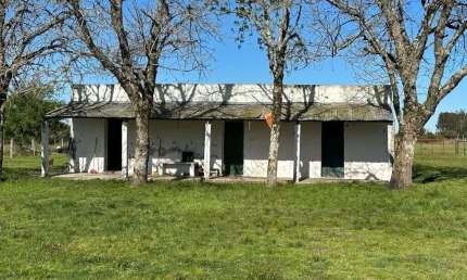 Fazenda à venda no Prado, Santana do Livramento 