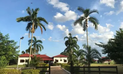 Fazenda à venda no Centro, São José do Rio Claro 