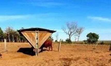 FAZENDA  PARA PECUÁRIA IMPERDÍVEL EM SÃO VALÉRIO DA NATIVIDADE/TO