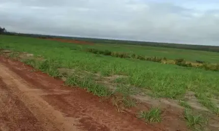 FAZENDA EXCELENTE COM ÓTIMA ESTRUTURA LOCALIZADA EM CENTENÁRIO/TO