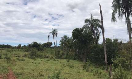 Fazenda à venda no Centro, Figueirão 