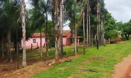 Fazenda à venda no Centro, Frutal 